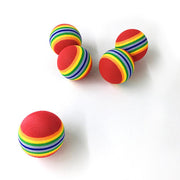 Rainbow Fetch Ball Toy