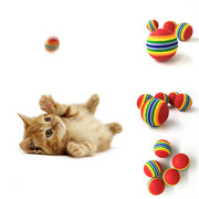 Rainbow Fetch Ball Toy