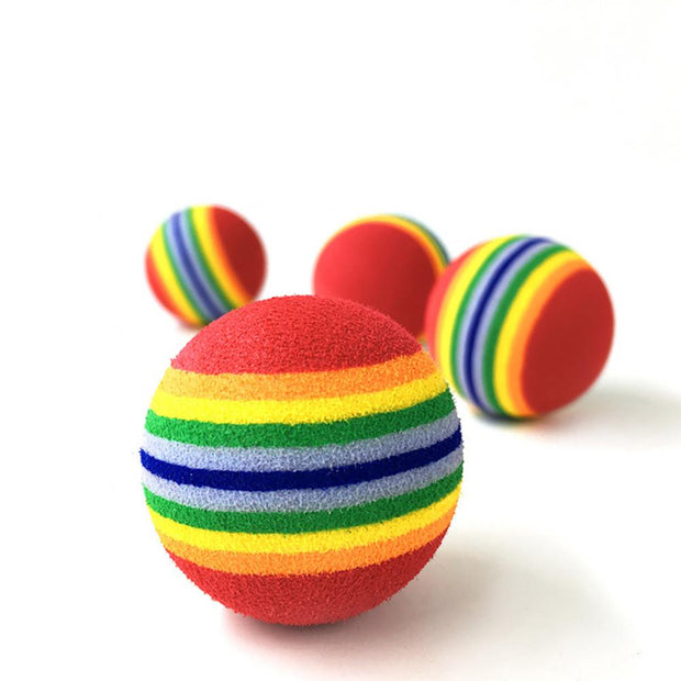 Rainbow Fetch Ball Toy