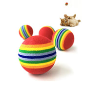 Rainbow Fetch Ball Toy