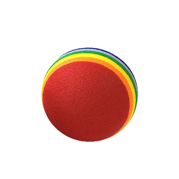 Rainbow Fetch Ball Toy