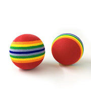 Rainbow Fetch Ball Toy