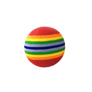 Rainbow Fetch Ball Toy