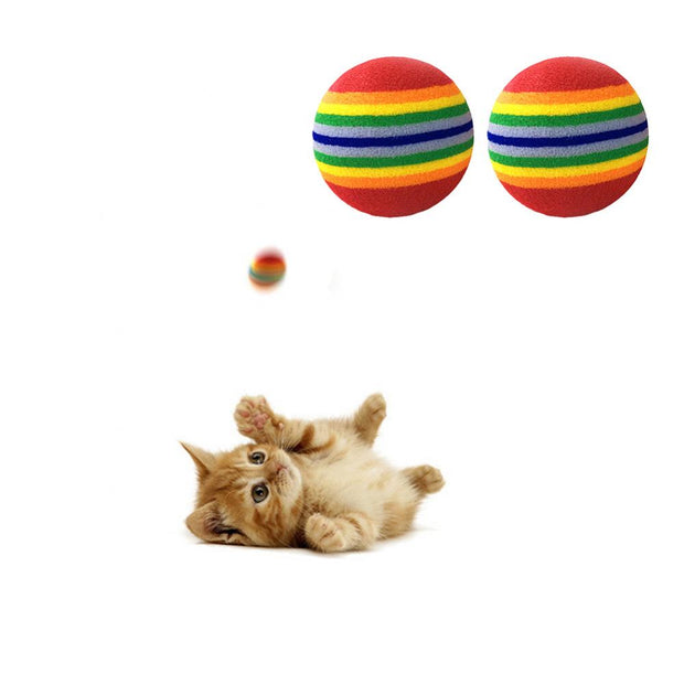 Rainbow Fetch Ball Toy