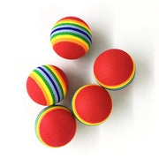 Rainbow Fetch Ball Toy