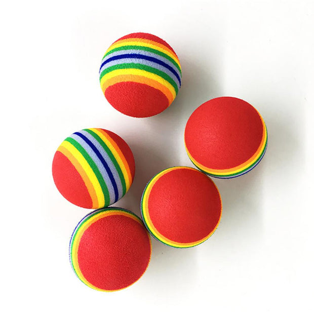 Rainbow Fetch Ball Toy