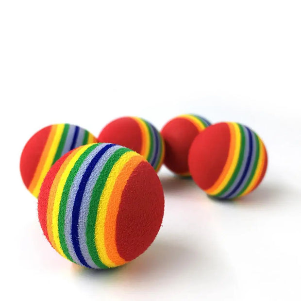 Rainbow Fetch Ball Toy