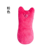 Teeth Grinding Catnip Plush Toy