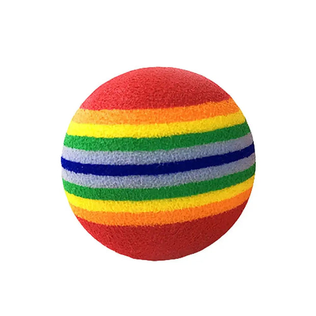 Rainbow Fetch Ball Toy