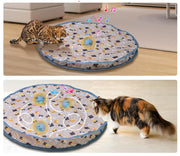 Interactive Rolling Cat Toy