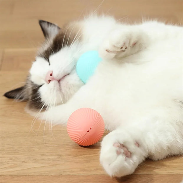 Smart Interactive Dog Toy Ball