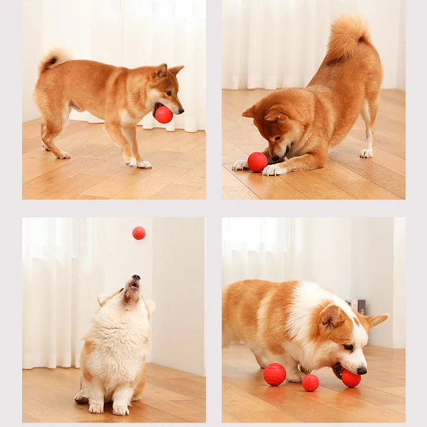 Indestructible Dog Training Ball