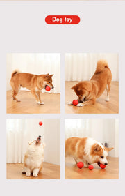 Indestructible Dog Training Ball