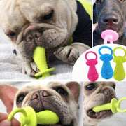 Tough Chew Dog Toy