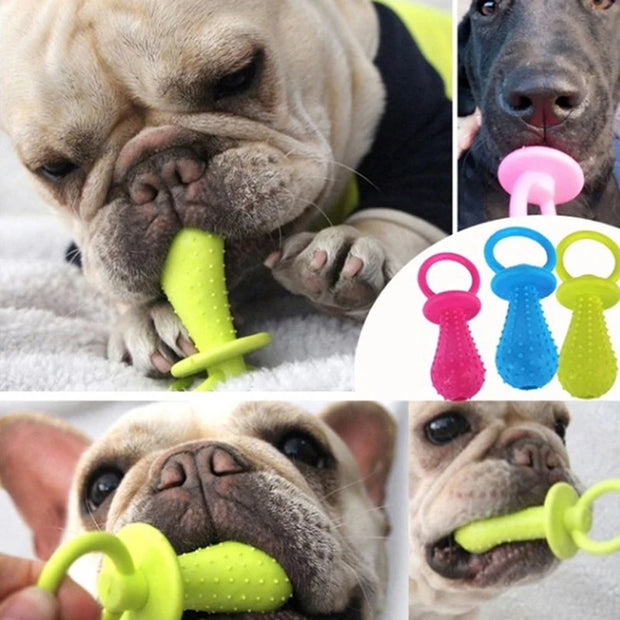 Tough Chew Dog Toy