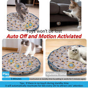 Interactive Rolling Cat Toy