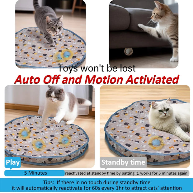 Interactive Rolling Cat Toy