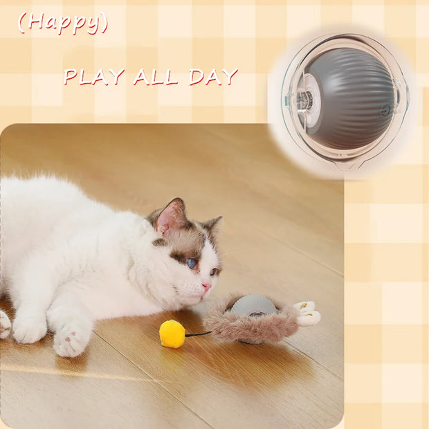 Interactive Rolling Cat Toy