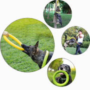 Flying Dog Chew Training Ring