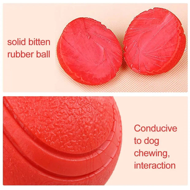 Indestructible Dog Training Ball