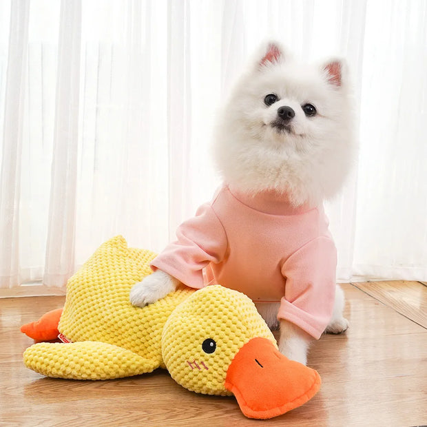 Quacking Duck Chew Toy