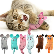 Catnip Plush Chew Toy