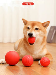 Indestructible Dog Training Ball