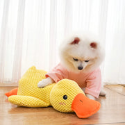 Quacking Duck Chew Toy