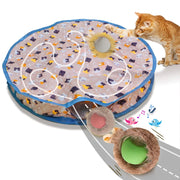 Interactive Rolling Cat Toy