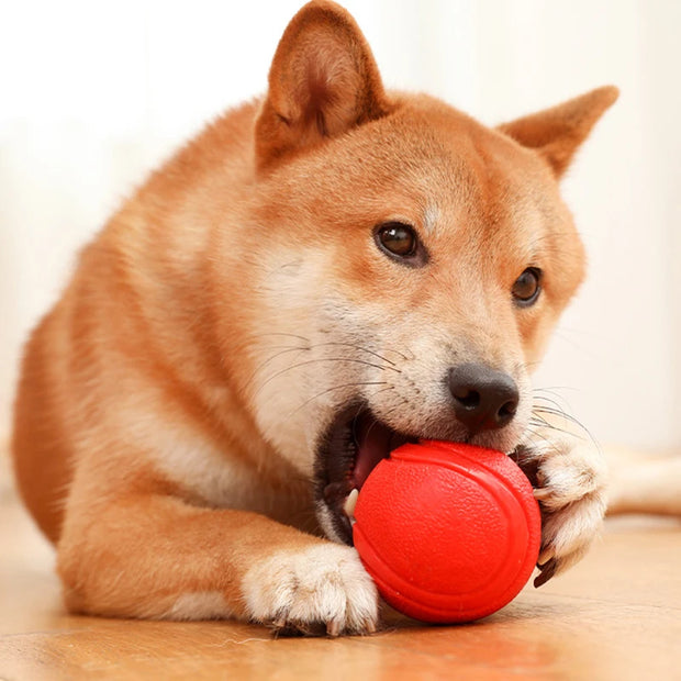 Indestructible Dog Training Ball