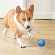 Smart Interactive Dog Toy Ball