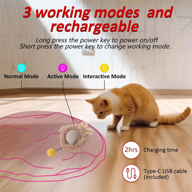 Interactive Rolling Cat Toy