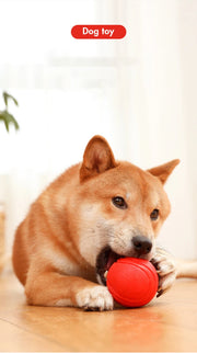 Indestructible Dog Training Ball