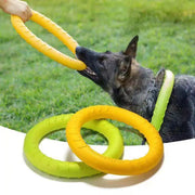 Flying Dog Chew Training Ring