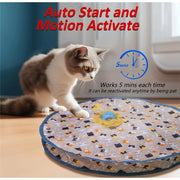 Interactive Rolling Cat Toy