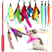 Ultimate Cat Toy Set