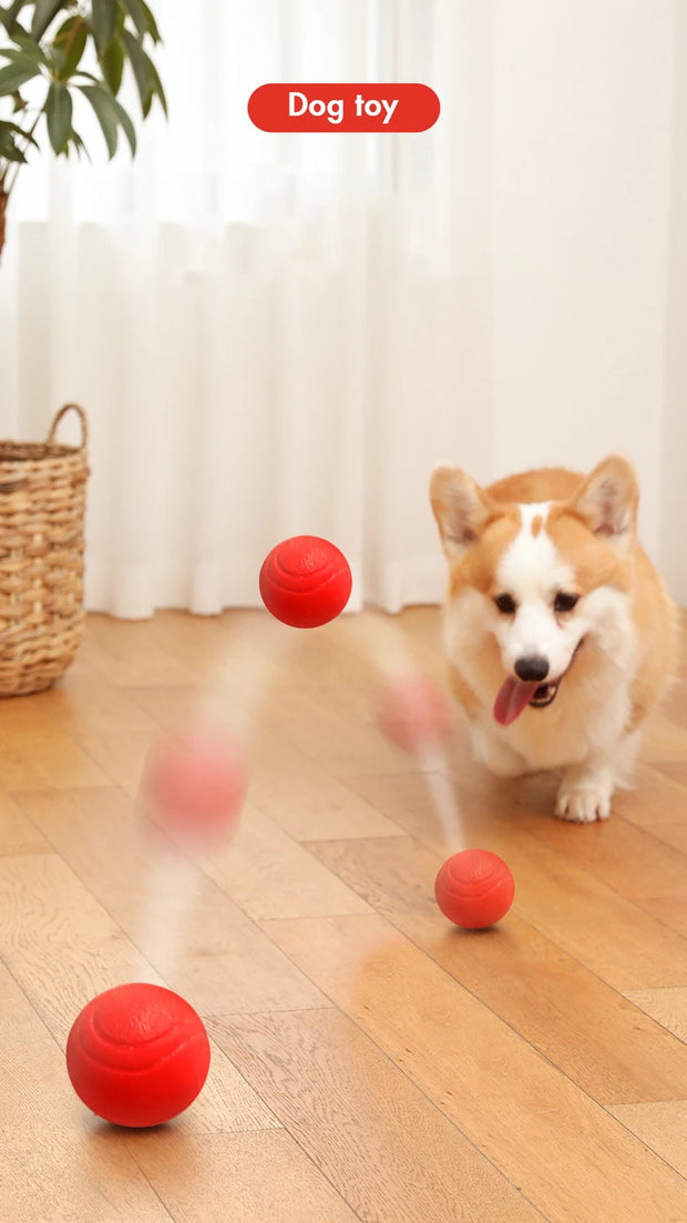 Indestructible Dog Training Ball