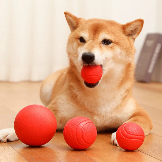 Indestructible Dog Training Ball