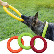 Flying Dog Chew Training Ring