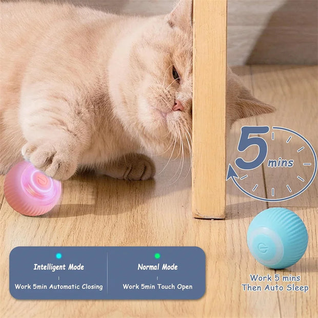 Smart Interactive Dog Toy Ball