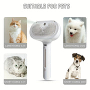 FurMist Grooming Brush