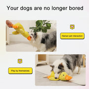 Quacking Duck Chew Toy