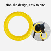 Flying Dog Chew Training Ring